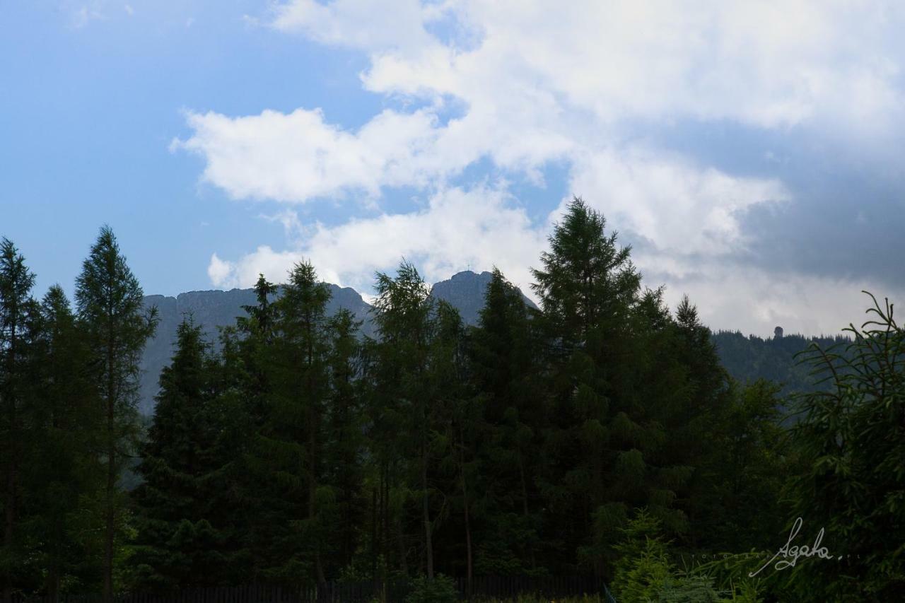 Apartament Krolewski Superior Z Sauna Zakopane Dış mekan fotoğraf